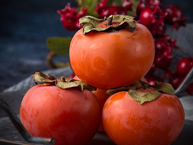 九游娱乐平台基地展示四